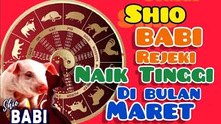 SHIO BABI di bulan MARET Rejeki naik TINGGI maret 2024 [upl. by Diva]