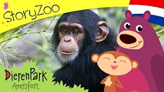 Episode 1 • StoryZoo op bezoek bij de chimpansee in Dierenpark Amersfoort [upl. by Ulrikaumeko]