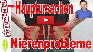 TOP 9 Ursachen für Nierenprobleme Nierenerkrankungen Nierensteine  Ernährung und Gesundheit [upl. by Anaejer244]