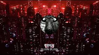 BURN BURN  PPICk [upl. by Brackely]