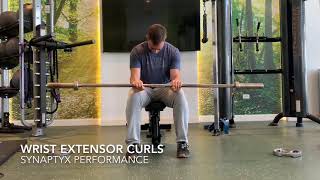 How To WRIST EXTENSOR CURLS [upl. by Aicnatsnoc]