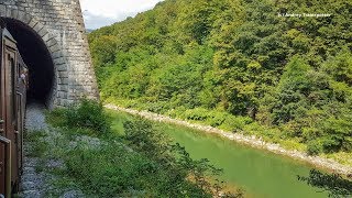 Train Ride in Maramureș  Vișeu de Jos  Sighetu Marmației [upl. by Ameehs89]