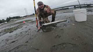 Shovel VS Sand Shrimp Gun for Gaper Clams ocean seafood fun [upl. by Ierna133]