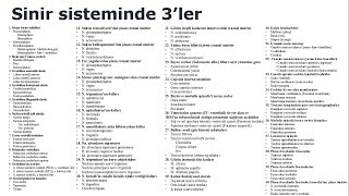 Sinir sisteminde 3ler 14 dakikada 40 örnek [upl. by Rider]