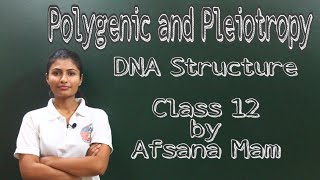 Polygenic Inheritance and Pleiotropy DNA structure Class 12 CBSE [upl. by Aivata291]