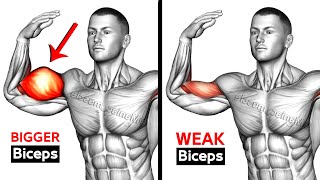 7 BEST Exercises for BIGGER BICEPS [upl. by Leakcim571]