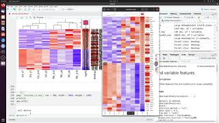 How to make a heatmap of differentially expressed genes in R complex version [upl. by Esinej]