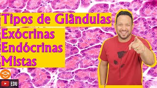 Glândulas Exócrinas Endócrinas e Mistas  Tecido Epitelial Glandular  Histologia Animal [upl. by Nohsad421]