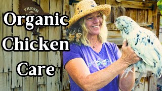 Raising Healthy Chickens Organically Part 1 [upl. by Rasla]