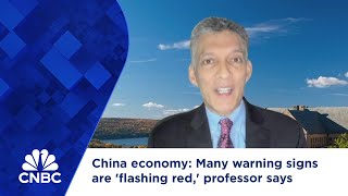 China economy Many warning signs are flashing red professor says [upl. by Modnarb]