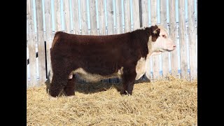 Lot 18 REM 56L [upl. by Prosser373]