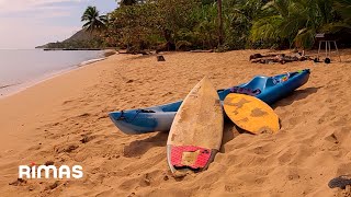 Bad Bunny  Neverita 360° Visualizer  Un Verano Sin Ti [upl. by Akirej]