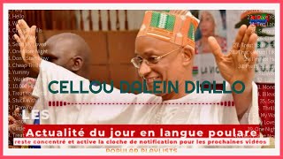 Futur président de la république de Guinée Cellou Dalein Diallo [upl. by Nnalyrehc115]