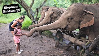 Tyannas 5th Birthday Surprise  Elephant Nature Park [upl. by Tedi579]