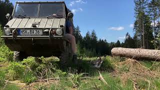 Steyr Puch Haflinger offroad Camper [upl. by Domonic]