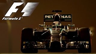 F1 2014  Abu Dhabi Grand Prix  2014 Season Finale [upl. by Hollis85]