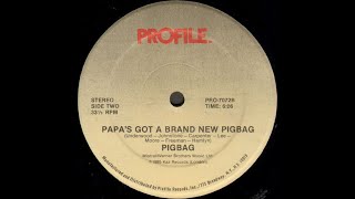 Pigbag  Papas Got A Brand New Pigbag Profile records 1985 [upl. by Elephus]