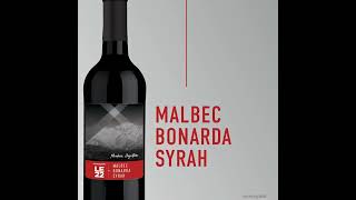 LE22 Malbec Bonarda Syrah with Grape Skins  Mendoza Argentina Available February 2023 [upl. by Akined978]