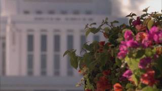 April 2011 World Report Laie Hawaii Temple Rededication [upl. by Ilan]