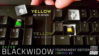 RAZER  Green vs Yellow mechanical switch audio comparison [upl. by Halueb762]