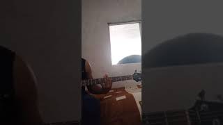 canchis canchislos angeles azules cover bajo [upl. by Orran]