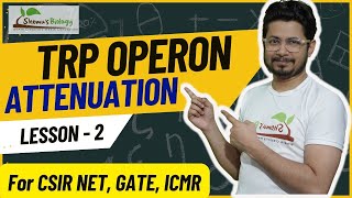 Tryptophan operon attenuation  Trp operon attenuation explained  Regulation of Trp operon [upl. by Asiek]