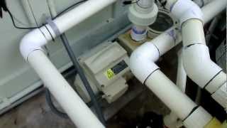 Intelliflo pump chirpingsqueaking noise [upl. by Neddy614]