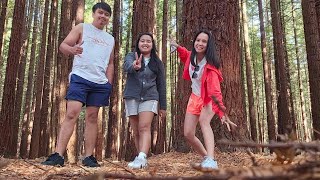 Redwood Forest Rotorua New Zealand [upl. by Norraf]