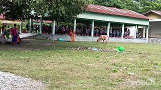 L P School Bhakatpara  Aundwi Fwra Class Suty Janai yao Aroz kmnai [upl. by Koenraad]