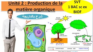 Unité 2  La Production de la matière organique svt 1Bac sc ex option français شرح بالداريجة [upl. by Ihsakat689]