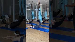 Basic Aerial yoga stretch 🔥🔥🔥aerialyoga aerialyogaflow aerialyogaclass aerialyogalove [upl. by Yhtir]