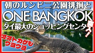 🟥 タイ最大ショッピングセンター ONE BANGKOKに突入 朝のルンピニ公園徘徊 早朝からの屋台村 ルンピニドラゴンオオトカゲがウヨウヨ ASOKE CHANNEL No309 🟥 [upl. by Ursal]