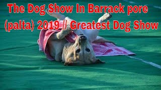 The Dog Show In Barrack pore palta 2019  Greatest Dog Show [upl. by Neehsas]