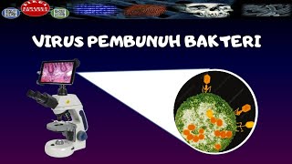 ZOOM BAKTERIOFAGVIRUS PEMBUNUH BAKTERI DENGAN MIKROSKOP ELEKTRON  DIRGA BIOLOGY CHANNEL [upl. by Eocsor]