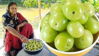 সর্দি কাশি গ্যাস অম্বল দূর করতে আমলকী এইভাবে একবার খেয়ে দেখুন দারুন উপকার পাবেন  amla recipe [upl. by Oriane]