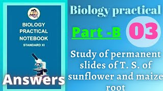 Study of permanent slides biology practical class 11 experiment 3 part b answers [upl. by Maude]