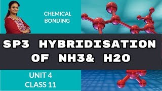 SP3 Hybridisation of NH3 amp H2O  chemical bonding  CBSE Class 11 Chemistry [upl. by Nnomae722]