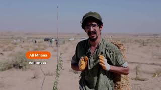 Volunteers plant saplings across Iraq to fight global warming  REUTERS [upl. by Aric948]