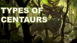 The Power And Magic Of Centaurs Exploring Mythological Hybrids [upl. by Loyce]