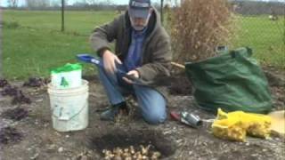 Planting Spring Bulbs [upl. by Sib]