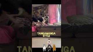 Tangamanga Style 🕺🏼✨ lacasadelosfamosos tangamanga style psy gangmanmariobezares mayito [upl. by Boff378]