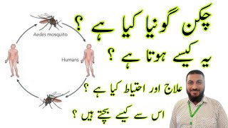 Chikungunya  Chikengonia  Chickengonia  Symptoms  treatment  cause [upl. by Llevol]