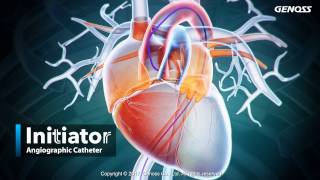 Initiator Angiographic Catheter video [upl. by Sibby]