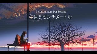 AMV 5cm per second  Missing You [upl. by Auhsot]