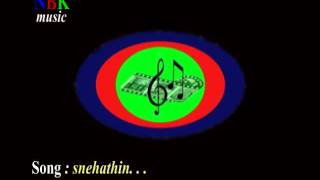 Snehathin    malayalam christian devotional song [upl. by Iznik]