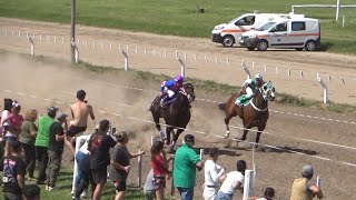 Claudioturf  Hipódromo de Cintra  Chaman 10112024 [upl. by Rolyak]