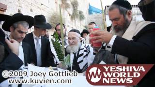 HaRav Chaim Pinchas Scheinberg bentching Lulav and Esrog at the Kosel [upl. by Adnocahs]