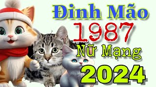 Đinh Mão 1987 nữ mạng Năm 2024 sự nghiệp có phần thay đổi mạnh [upl. by Ainegue]