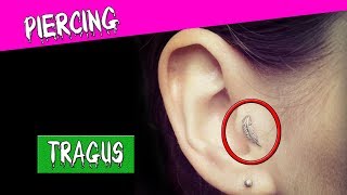 LERREUR de ma vie le piercing au TRAGUS [upl. by Ayitahs]