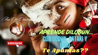 APRENDE GRATIS DILOGUN CON ODDUN PATAKI Y EBBO [upl. by Lala]